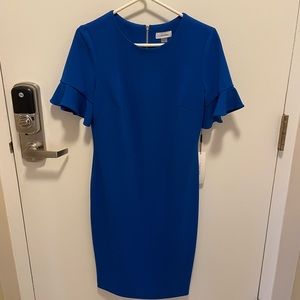 Calvin Klein SS royal blue back zip dress